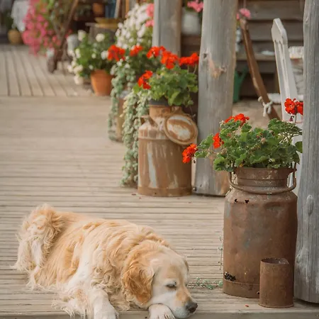 Toidupada Puhkemaja Otepaeael Chalet Otepää