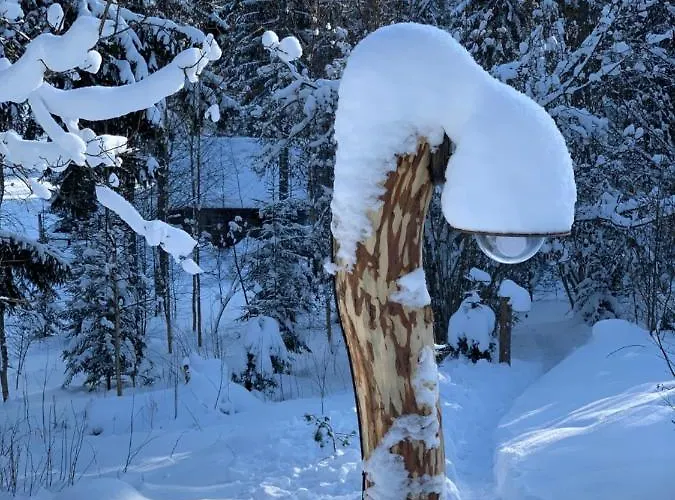 Toidupada Puhkemaja Otepaeael