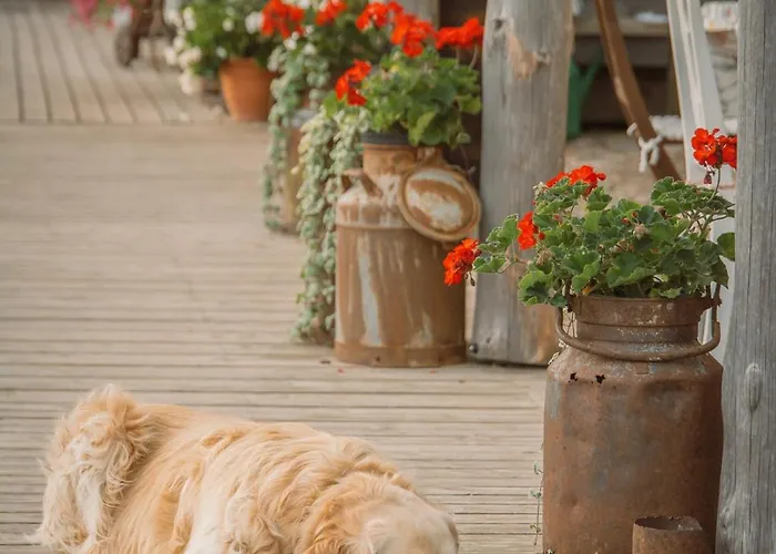 Toidupada Puhkemaja Otepaeael Chalet Otepää